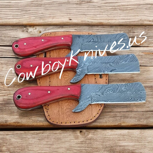 3.5" Blade Bull Cutter Knives with Exotic Wood Handles