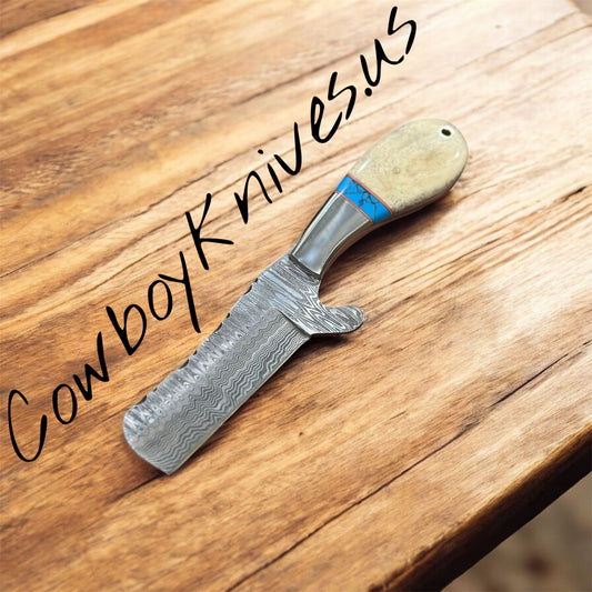 4" Blade Bull Cutter Knife with Bone Handle, Turquoise Spacer & Steel Bolster